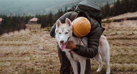 AssessingYourSeniorPet'sNeedsandAbilities