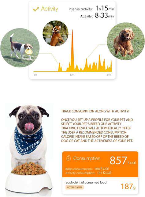 BenefitsofActivityMonitoringforPets