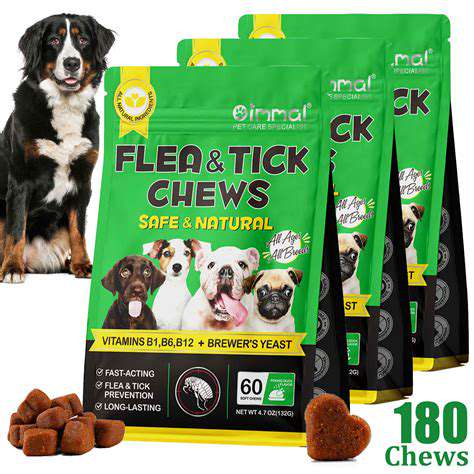 The Importance of Regular Deworming for Your Pet