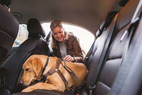 BookingYourPet-FriendlyGetaway:TipsandTricks
