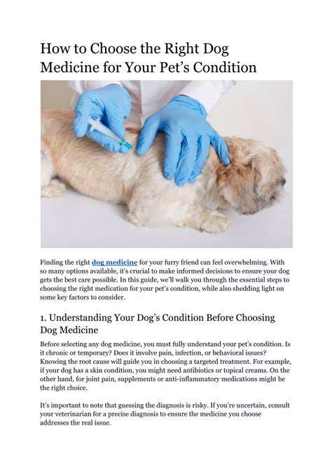 ChoosingtheRightMedicationforYourPet