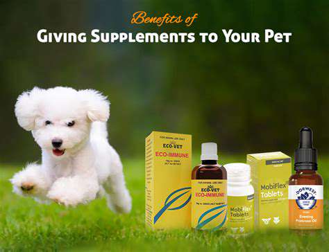 ChoosingtheRightSupplementsforYourPet'sNeeds