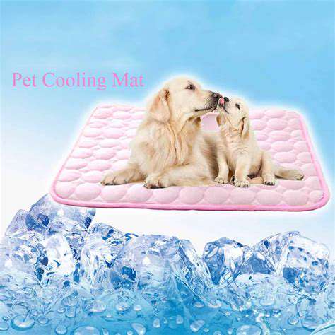 Hot Weather Pet Products: Staying Cool