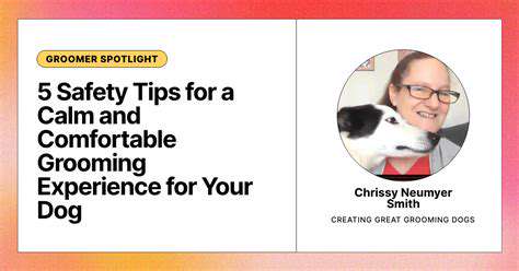 CreatingaComfortableandSafePetGroomingEnvironment