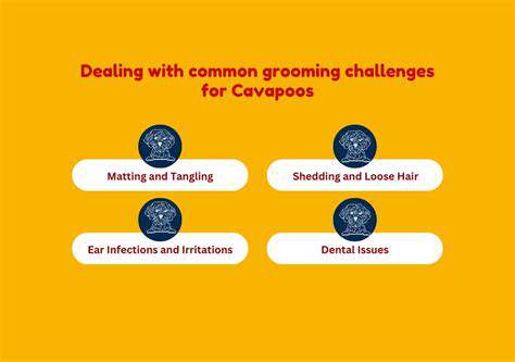 Grooming Your Pet at Home: Essential Tips and Tools
