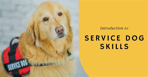 DevelopingtheSpecificServiceDogSkills