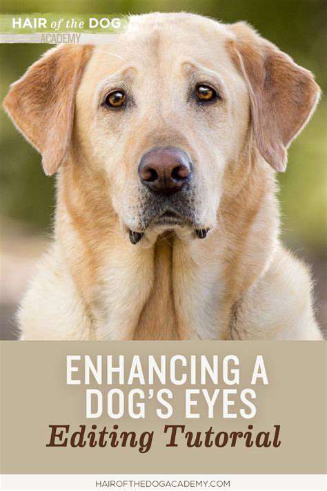 Pet Portrait Photography: Creating Timeless Art