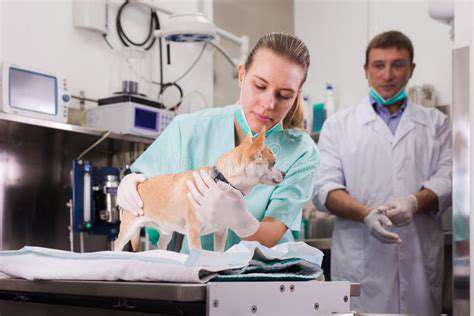 EnsuringHigh-QualityVeterinaryCare