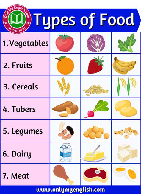 ExploringDifferentFoodTypes:Dry,Wet,andRaw