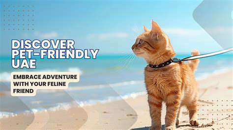 Pet Friendly Travel Destinations: Exploring with Your Companion