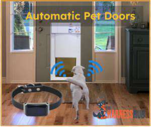ExploringtheBenefitsofAutomatedPetDoors