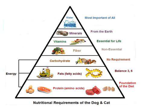 FactorsInfluencingPetNutritionalNeeds