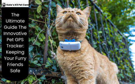 FeaturestoLookforinaPetGPSTracker