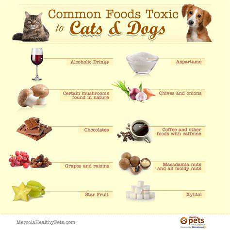 IdentifyingToxicTreatsforYourFelineandCanineFriends
