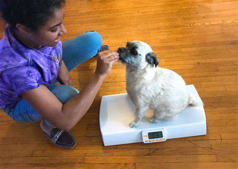 The Role of Nutrition in Winter Pet Health