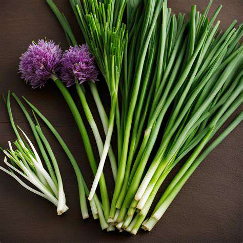 Onions,Garlic,andChives:ACulinaryThreat