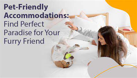 Pet-FriendlyAccommodations:AHavenforYourFurryFriend