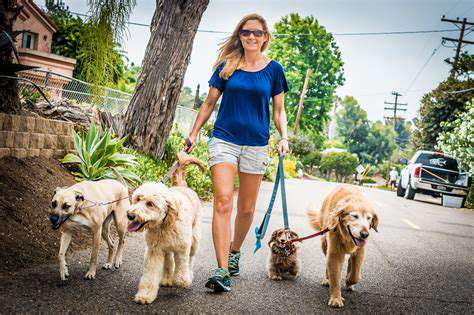 PetSittingandDogWalking:BuildingTrustandProvidingEssentialCare