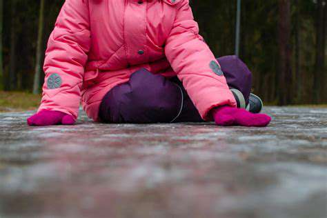 Pet Friendly Ice Melts: Safer for Paws