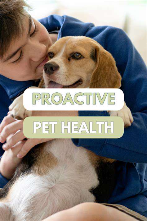 The Dangers of Open Flames for Pets