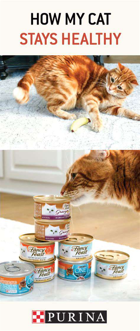 The Role of Hydration in Preventing Urinary Issues in Cats