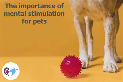 PromotingPhysicalActivityandMentalStimulationforSeniorPets