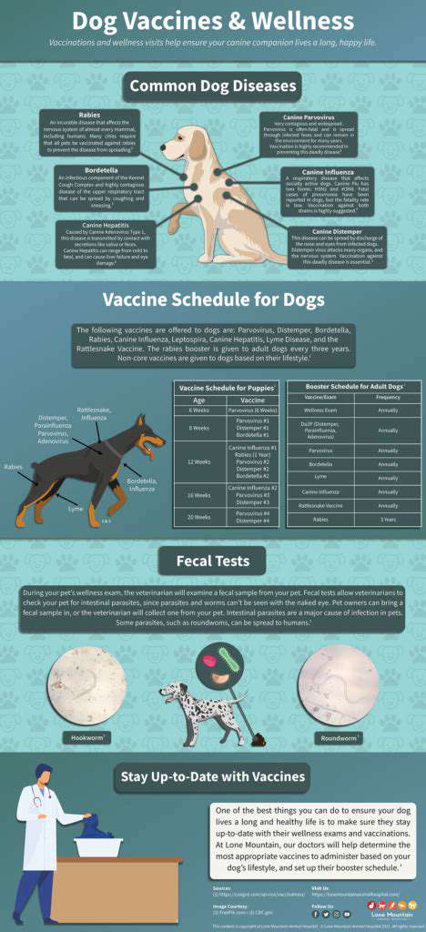 Vaccinations for Pets: Protecting Your Companion