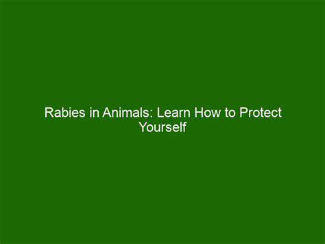 Understanding Pet Liability Insurance