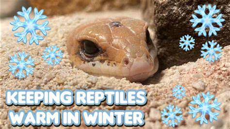 ProvidingWinterWarmthandStimulationforReptilesandAmphibians