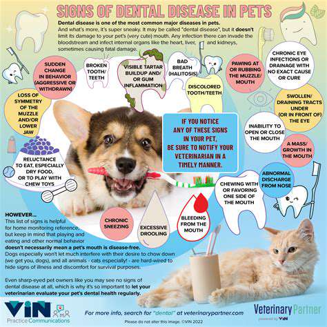Dental Care for Pets: Beyond Just Brushing