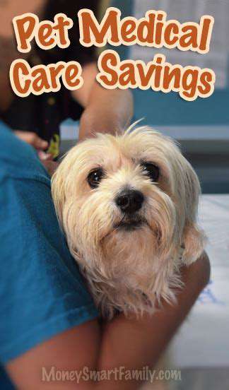 Navigating Pet Food Subscription Services