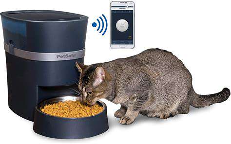 SettingUpaSmartPetFeedingSystem