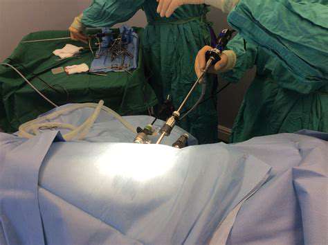 TheAdvantagesofMinimallyInvasivePetSurgery