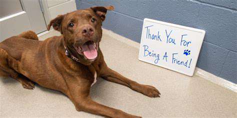 The Impact of Breed Specific Legislation
