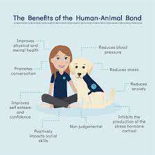 Pet Therapy Programs: Bringing Joy and Comfort