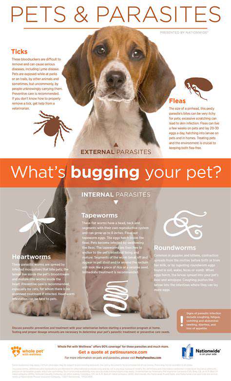 TheImpactofParasitesonYourPet'sHealth