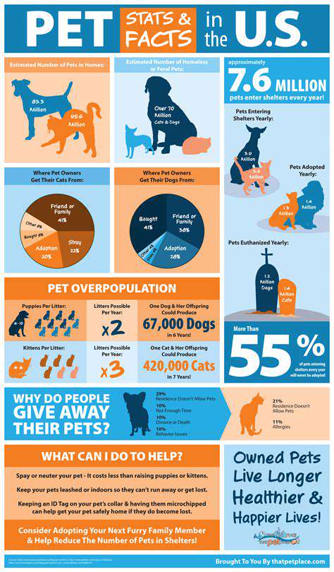 TheImportanceofPublicAwarenessinPetWelfare