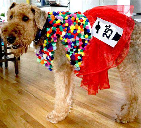 TheJoyofCraftingCustomPetCostumes