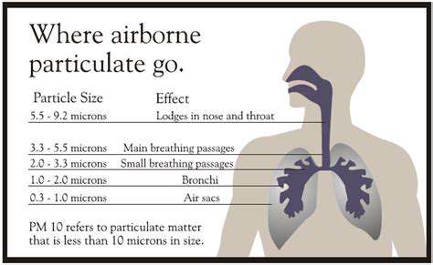 TheRoleofAirborneParticlesinPetAllergies