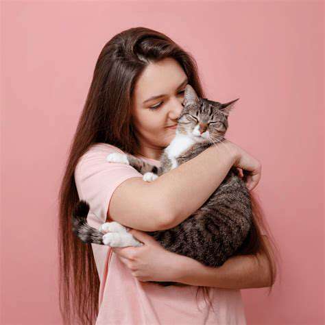 Cats as Stress Reducers: The Purrfect Prescription