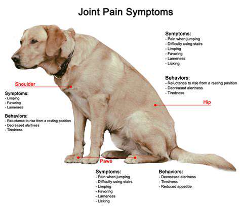 TypesofStemCellsUsedinCanineArthritisTreatment
