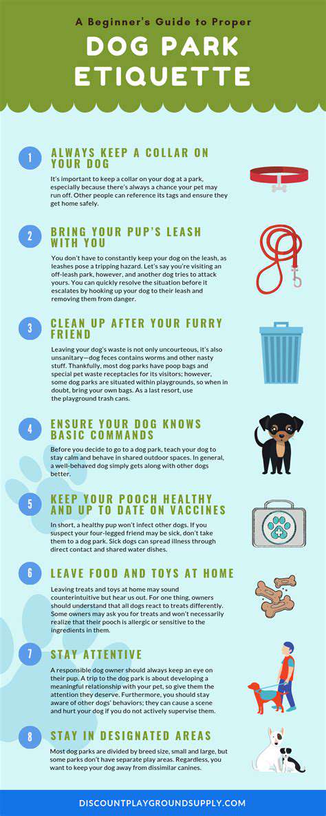 Winter Dog Parks: Safety and Etiquette