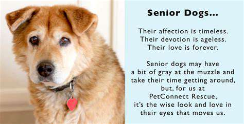 AgeMatters:Puppies,Kittens,andSeniorCitizens