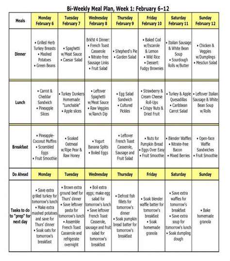 Cognitive Support Diets for Senior Pets