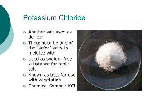 The Dangers of Rock Salt and De Icers for Pets