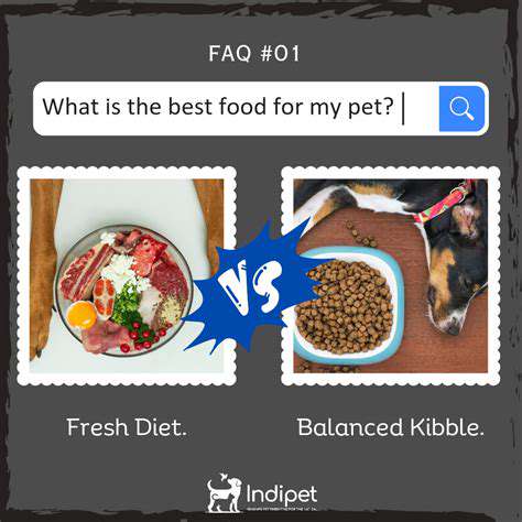 The Truth About By Products in Pet Food