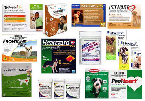 Protecting Pets from Mosquitoes: Heartworm Prevention
