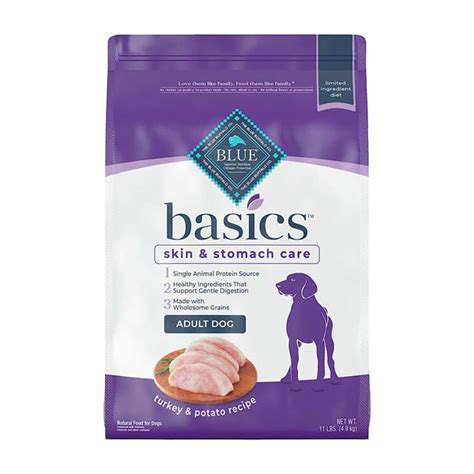 Senior Pet Nutrition: Tailoring Diets for Aging Companions