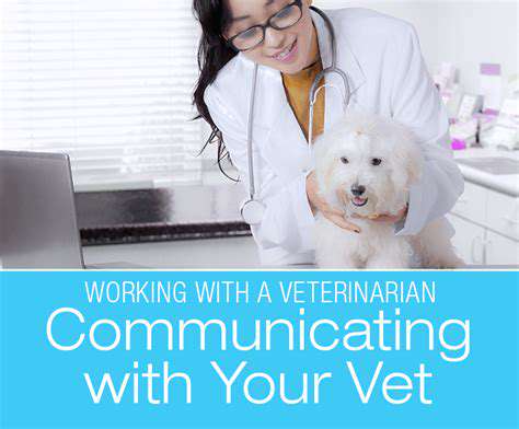 Understanding Pet Anxiety During Winter Storms