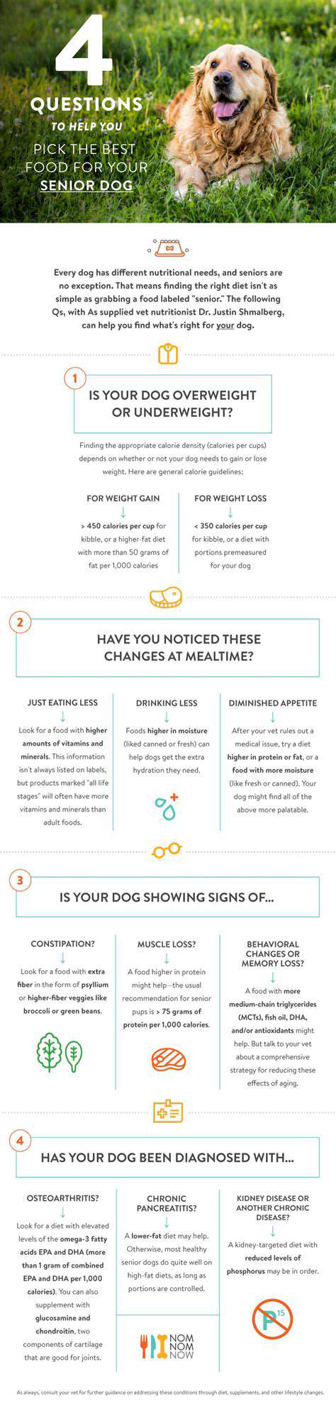 DietaryNeedsChangewithAge:WhySeniorPetNutritionMatters